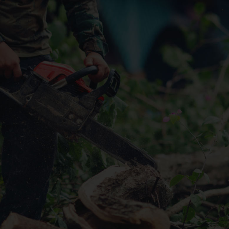 Dimitri Babtista Jardinier Paysagiste, réalisation YK Groupe